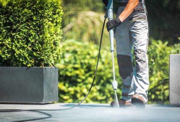 Best Dumpster Area Cleaning  in Lagrange, OH